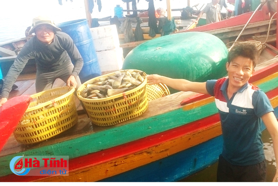 Ngư dân Thạch Bằng được mùa hải sản xuất khẩu