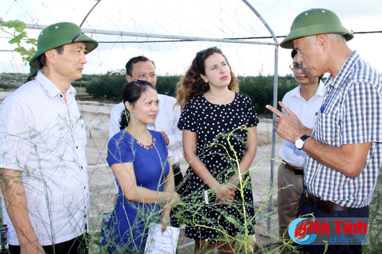 Israel sẵn sàng hỗ trợ Hà Tĩnh trong nông nghiệp công nghệ cao