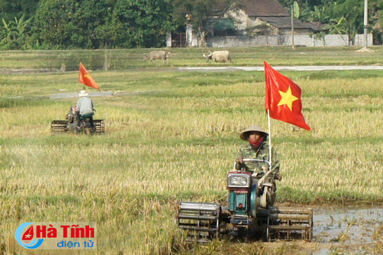 Can Lộc tái cơ cấu nông nghiệp: Trăn trở từ vùng sản xuất lúa