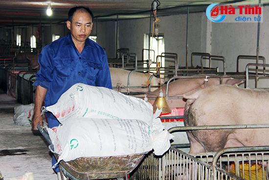Công ty CP Phát triển nông lâm Hà Tĩnh: Tiên phong trong đầu tư vào nông nghiệp
