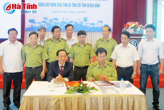 Bảo vệ rừng tại gốc ở vùng giáp ranh Hà Tĩnh - Quảng Bình