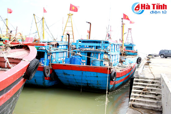 Hạ tầng cảng cá Hà Tĩnh: Cần chính sách đồng bộ