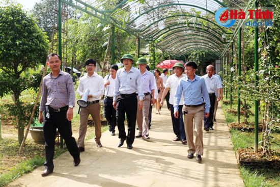 Nhiều khu dân cư kiểu mẫu Hà Tĩnh sẵn sàng đón đại biểu Hội nghị NTM toàn quốc đến tham quan