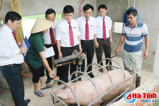 Agribank Hà Tĩnh mua thịt lợn ủng hộ người dân