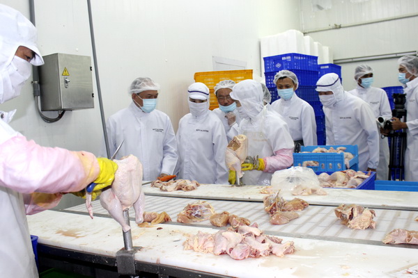 Nhiều cơ hội xuất khẩu các sản phẩm thịt gà đã qua chế biến Ảnh: Internet