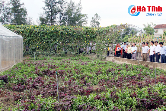 Hà Tĩnh thúc đẩy sản xuất nông nghiệp hữu cơ