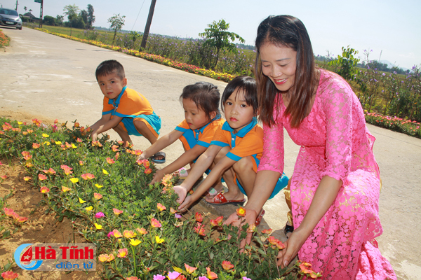 [Photo] Đẹp mê hồn những đường hoa nông thôn mới Cẩm Yên