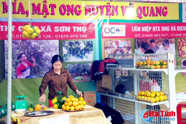 86 gian hàng tham gia Lễ hội Cam và các sản phẩm nông nghiệp Hà Tĩnh
