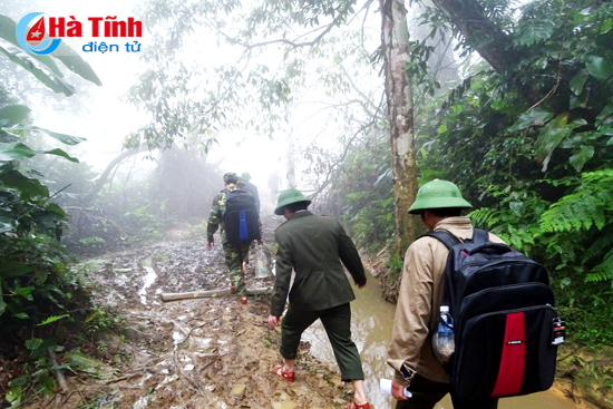 Hà Tĩnh, Nghệ An, Quảng Bình ký kết phối hợp bảo vệ rừng giáp ranh