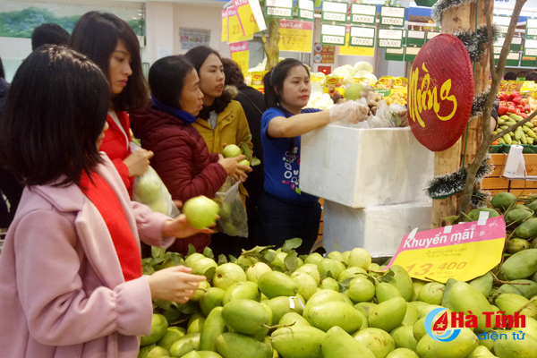 Thị trường Tết ở Hà Tĩnh: Hàng phong phú, sức mua yếu!