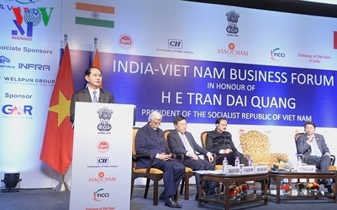 Chủ tịch nước Trần Đại Quang dự diễn đàn doanh nghiệp Việt Nam-Ấn Độ