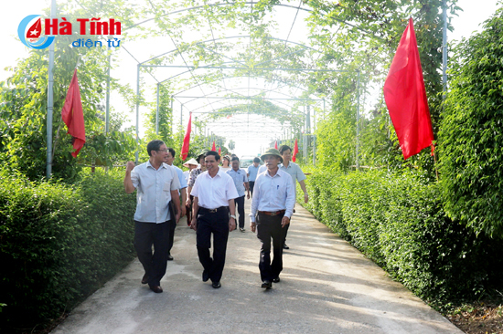 Chủ tịch UBND tỉnh chỉ đạo chuẩn bị tốt Hội nghị toàn quốc về NTM tại Hà Tĩnh