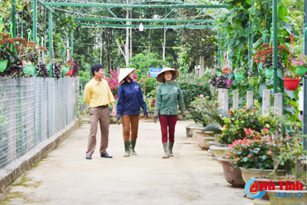 Ngắm khu vườn giải đặc biệt cuộc thi KDC kiểu mẫu, vườn mẫu Hà Tĩnh