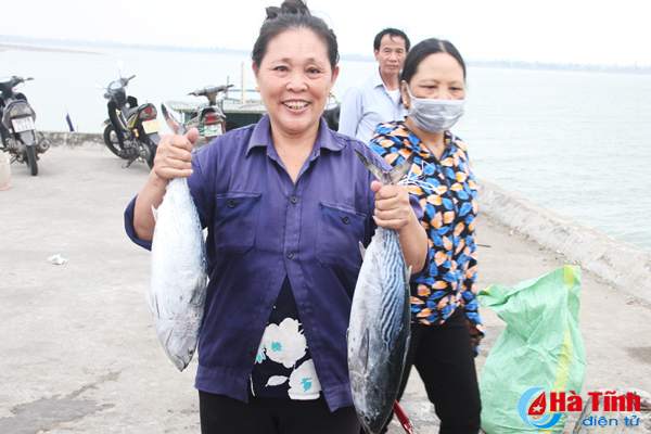 Ngư dân Xuân Hội trúng đậm cá thu