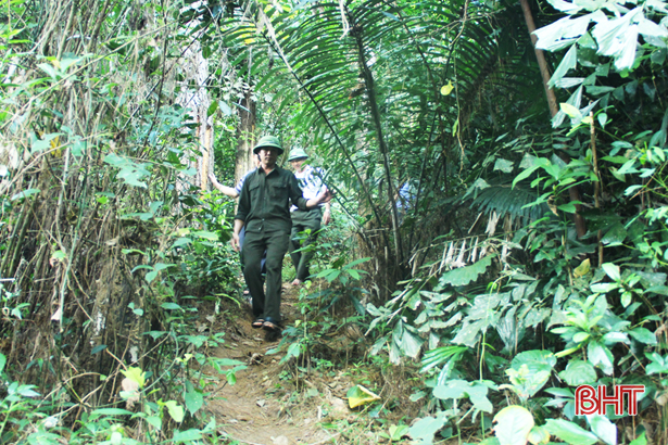 Tổ tự quản kết nối người dân tham gia giữ rừng