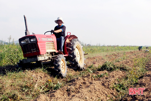 Các HTX dịch vụ nông nghiệp Nghi Xuân hoạt động hiệu quả