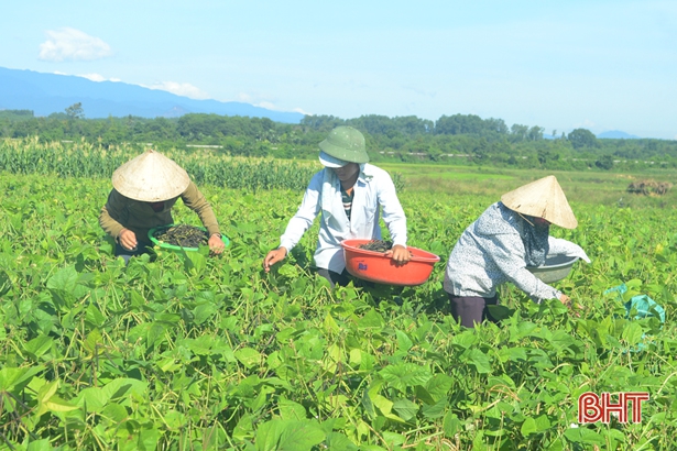 Nông nghiệp Hà Tĩnh với cuộc cách mạng lịch sử