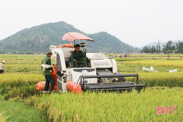 Đến năm 2020, Hà Tĩnh chuyển 2.254 ha đất lúa sang cây trồng khác