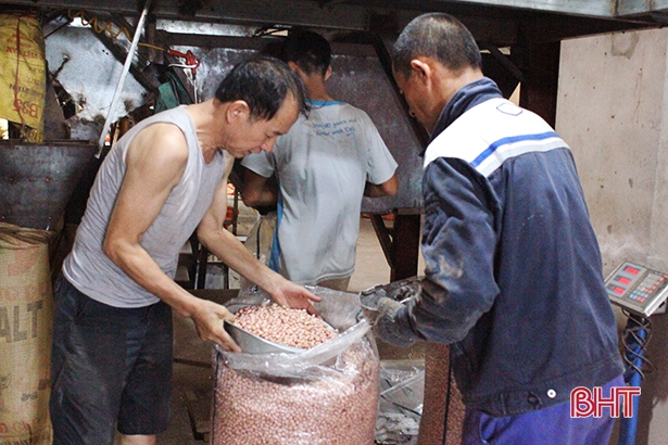 Doanh nghiệp xuất khẩu lạc lớn nhất Hà Tĩnh thu hàng chục tỷ mỗi năm