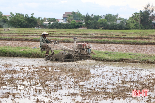 Hơn 13.000 ha lúa hè thu tại Hà Tĩnh khó hoàn thành đúng thời vụ