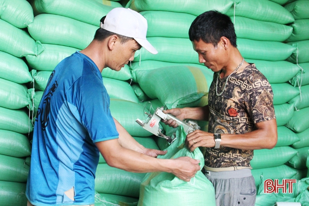 Giúp nông dân tiêu thụ lúa, người dùng được ăn sợi bún ngon