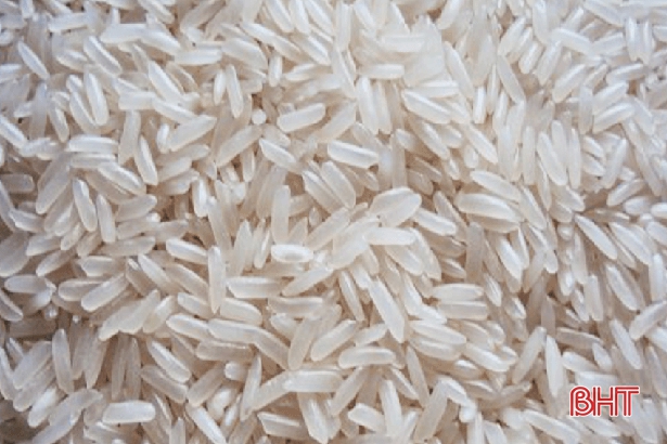 Giúp nông dân tiêu thụ lúa, người dùng được ăn sợi bún ngon