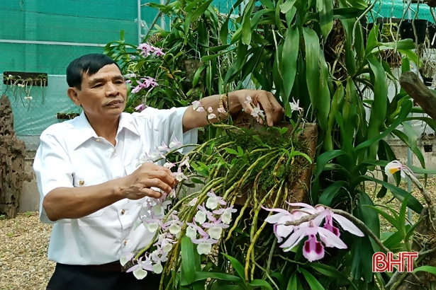 Trên 30 vườn mẫu ở Hương Sơn cho thu nhập hơn 80 triệu đồng/năm