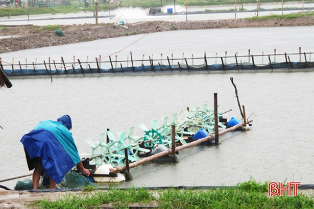 Lộc Hà sẵn sàng phương án “chạy” mưa lũ cho thủy sản nuôi