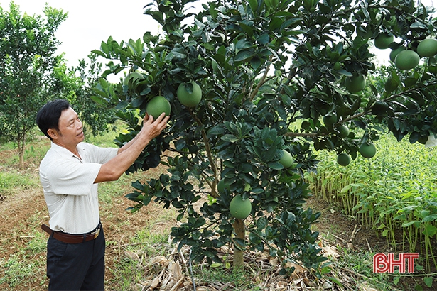  Dư nợ nông nghiệp, nông thôn trên địa bàn Hà Tĩnh chiếm 48,6%