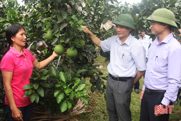 Luồng sinh khí mới cho nông nghiệp, nông thôn Hà Tĩnh