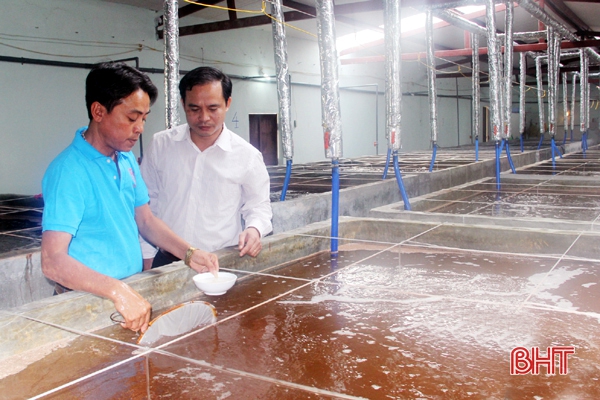 Trung tâm giống của Công ty CP Thủy sản Thông Thuận là một trong những cơ sở nuôi trồng thủy sản lớn nhất ở Cương Gián. Ảnh: Hoài Nam