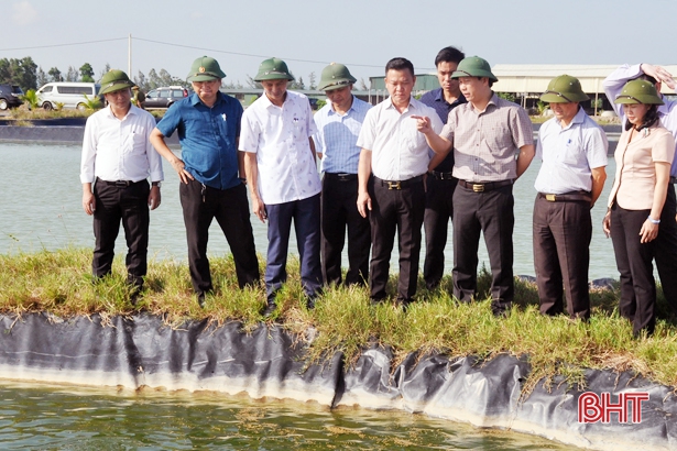 Chủ tịch UBND tỉnh: Lộc Hà có thể đạt huyện nông thôn mới vào năm 2020