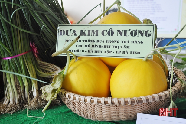 “Mãn nhãn” với đặc sản của nông dân Hà Tĩnh