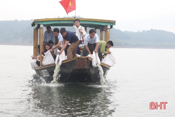 Phóng sinh hơn 1 tấn cá xuống hồ Ngàn Trươi - Hà Tĩnh 