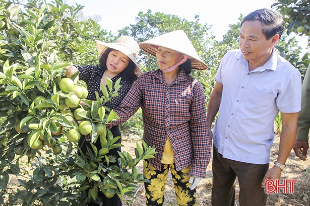Gần 200 hội viên phụ nữ giúp người dân Gia Hanh xây dựng nông thôn mới
