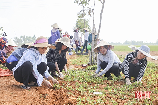 Gần 200 hội viên phụ nữ giúp người dân Gia Hanh xây dựng nông thôn mới