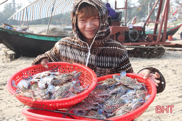 Ngư dân Xuân Yên “kiếm” tiền triệu mỗi ngày từ khai thác ghẹ
