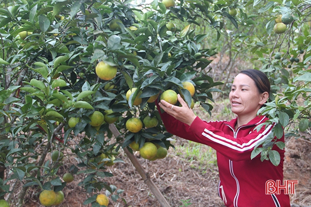 Phụ nữ Hà Tĩnh làm chủ kinh tế, thay đổi vị thế trong gia đình và xã hội