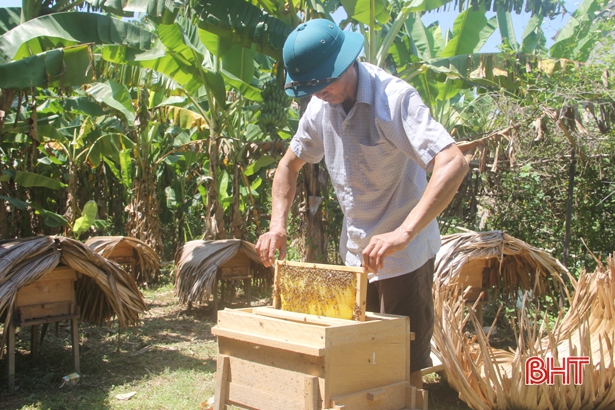 Nuôi ong lấy mật, “bỏ túi” 100 triệu đồng đồng mỗi năm
