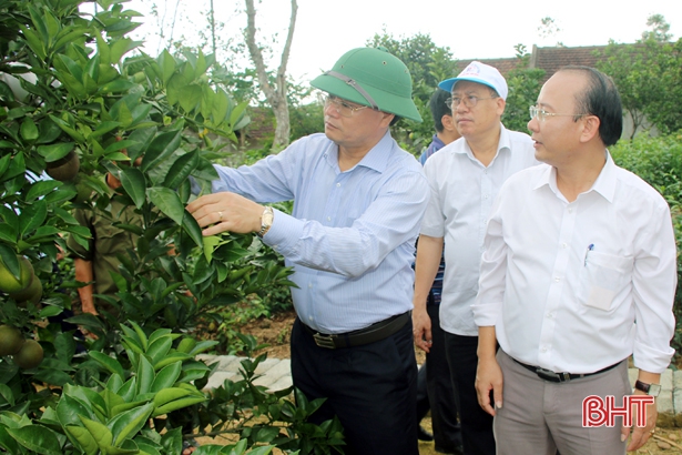 Thành công của Hà Tĩnh là kinh nghiệm cho Quảng Bình về xây dựng NTM