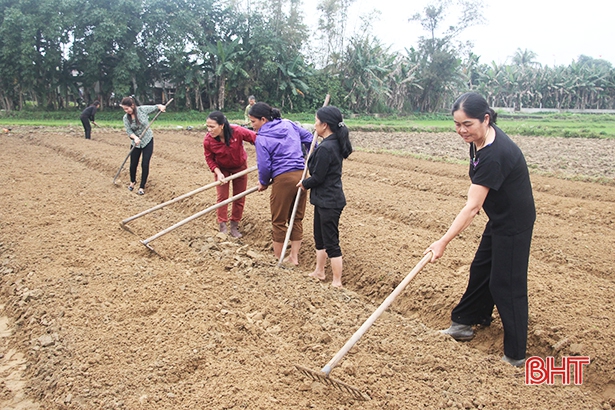Bí thư Tỉnh ủy Hà Tĩnh động viên nông dân ra quân sản xuất đầu xuân