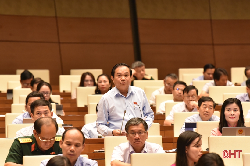 ĐBQH Hà Tĩnh: Chính phủ cần tập trung công tác quy hoạch, sắp xếp các đơn vị hành chính