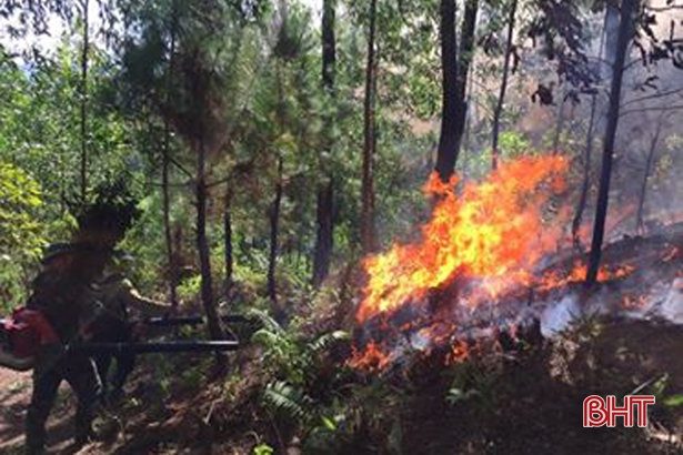 Hương Sơn: Tập trung lực lượng, phương tiện, sẵn sàng chữa cháy và di dời các hộ dân gần bìa rừng