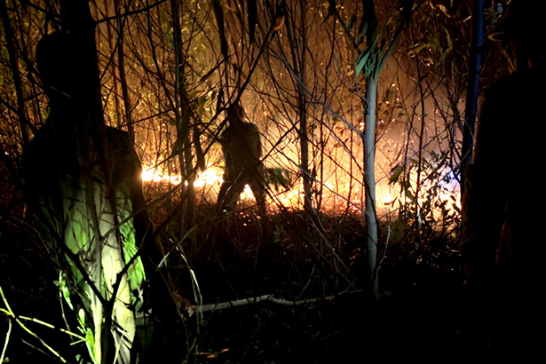 Cháy rừng ở Kỳ Trinh: 3 vụ liên tiếp, thiêu rụi hơn 50 ha rừng keo