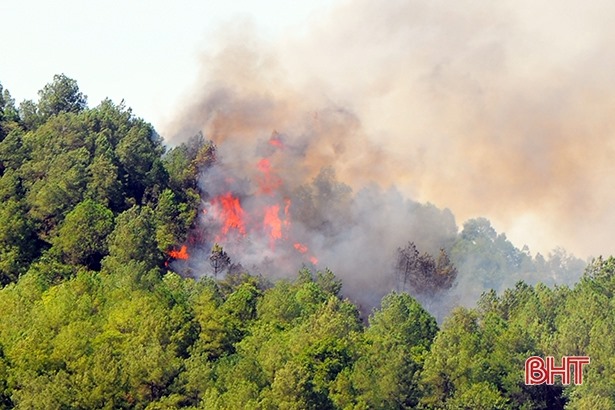 5 năm Hà Tĩnh xảy ra 84 vụ cháy, gây thiệt hại 305 ha rừng