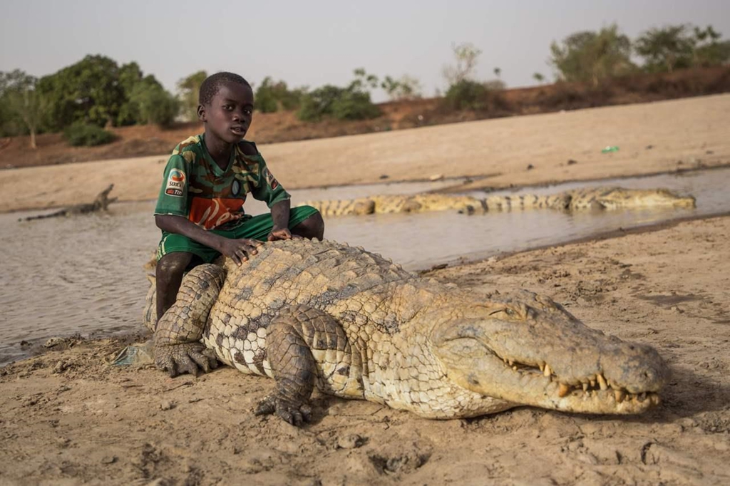 Ngôi làng sống cùng hàng trăm con cá sấu