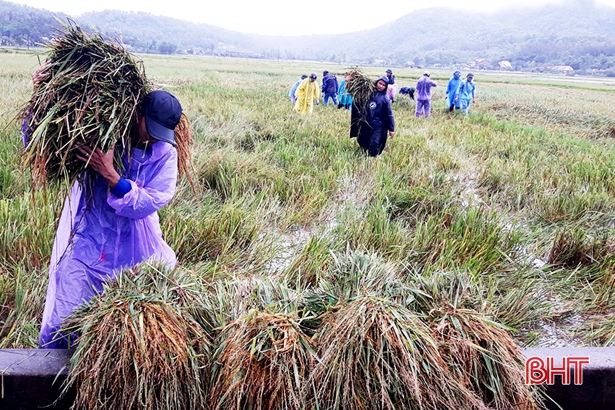 Tuổi trẻ Hà Tĩnh cắm biển cảnh báo ngập lũ, giúp dân gặt lúa