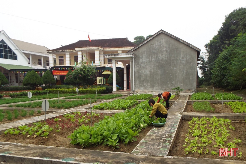 Mướt mắt những vườn rau bán trú của cô trò ở huyện miền núi Hà Tĩnh