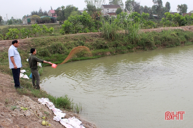 Nuôi cá nước ngọt, mỗi năm nông dân Can Lộc thu 30 tỷ đồng