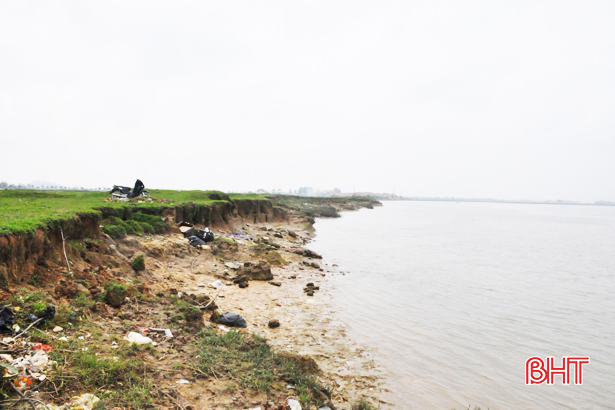 Sông Lam “lấn” đến 2ha đất nông nghiệp mỗi năm, nông dân Nghi Xuân bất an